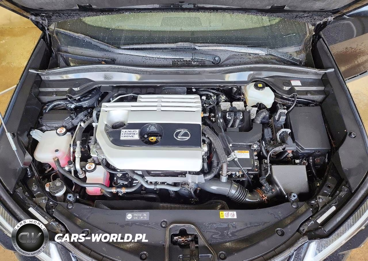 2019 Lexus Ux 250H VIN:JTHU9JBH3K2014934 - 12