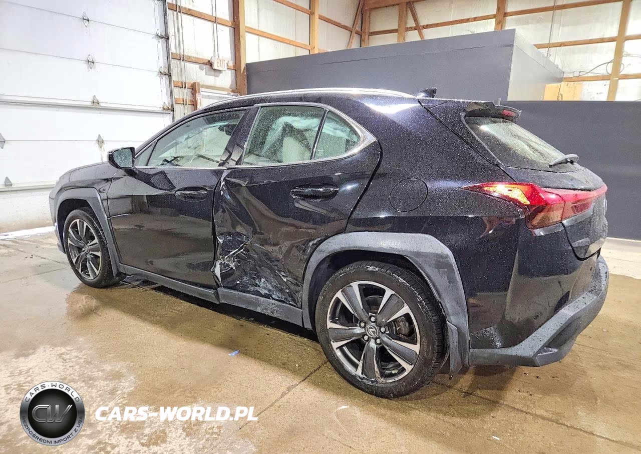 2019 Lexus Ux 250H VIN:JTHU9JBH3K2014934 - 2