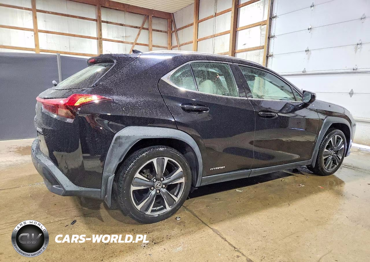 2019 Lexus Ux 250H VIN:JTHU9JBH3K2014934 - 3