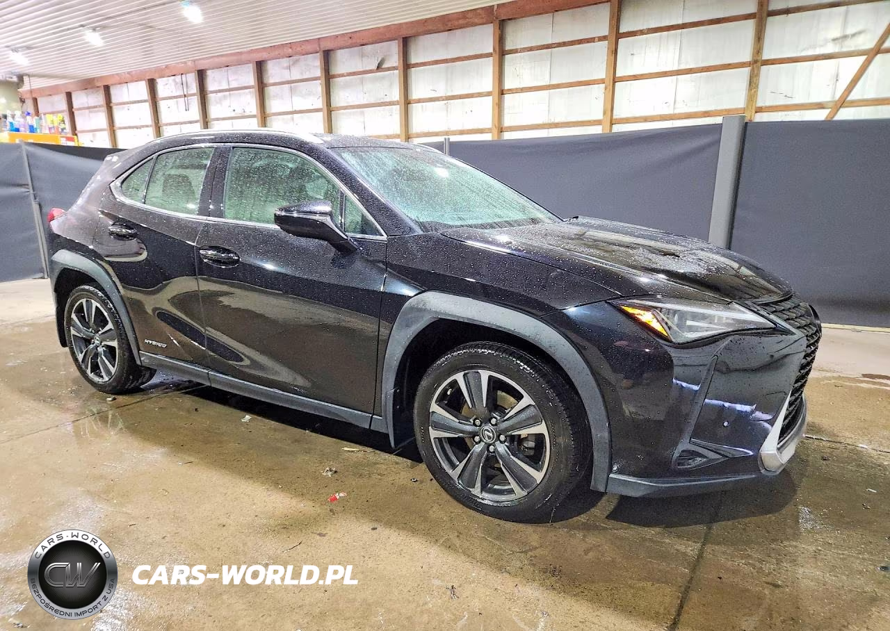 2019 Lexus Ux 250H VIN:JTHU9JBH3K2014934 - 4