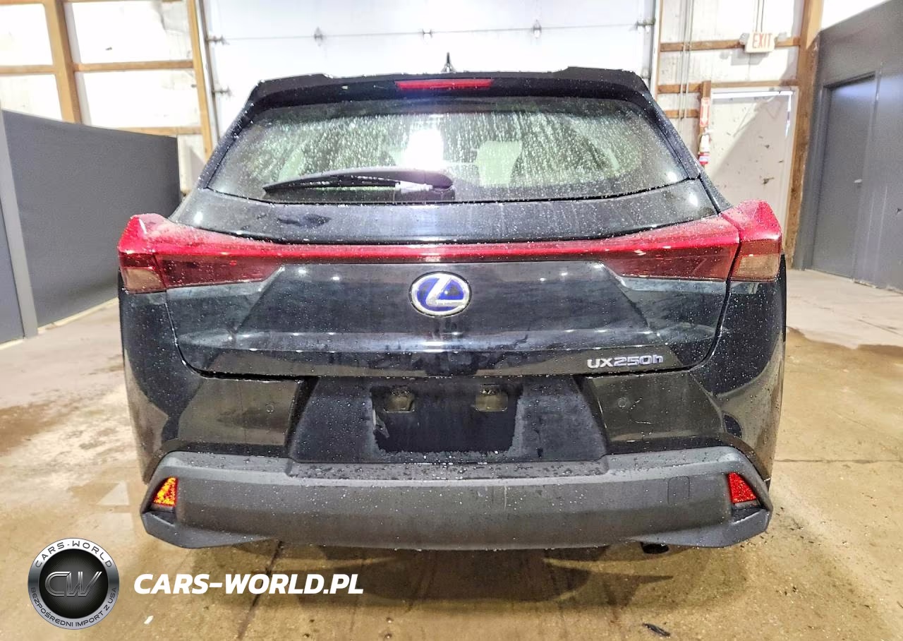 2019 Lexus Ux 250H VIN:JTHU9JBH3K2014934 - 6