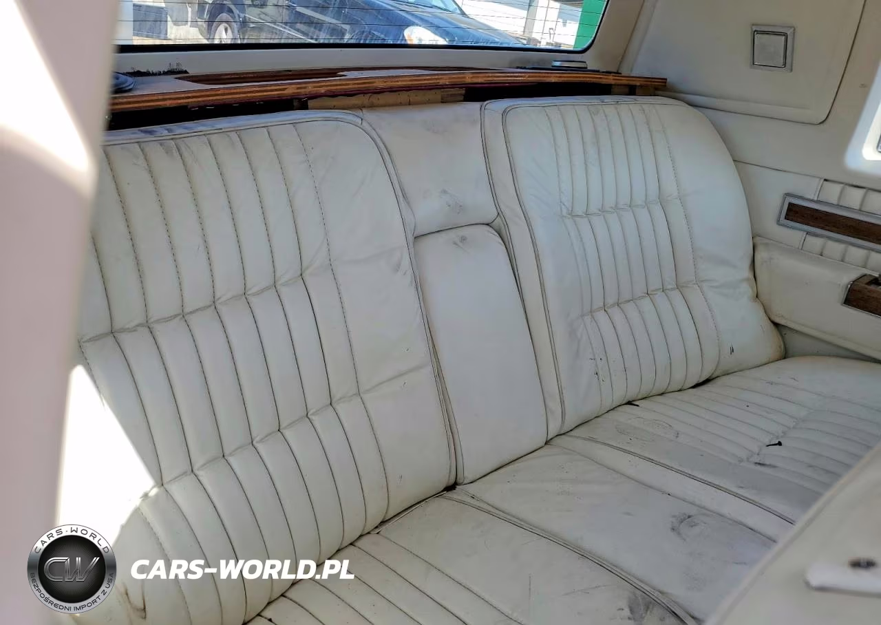 1984 Cadillac Deville VIN:1G6AM4781E9009193 - 10