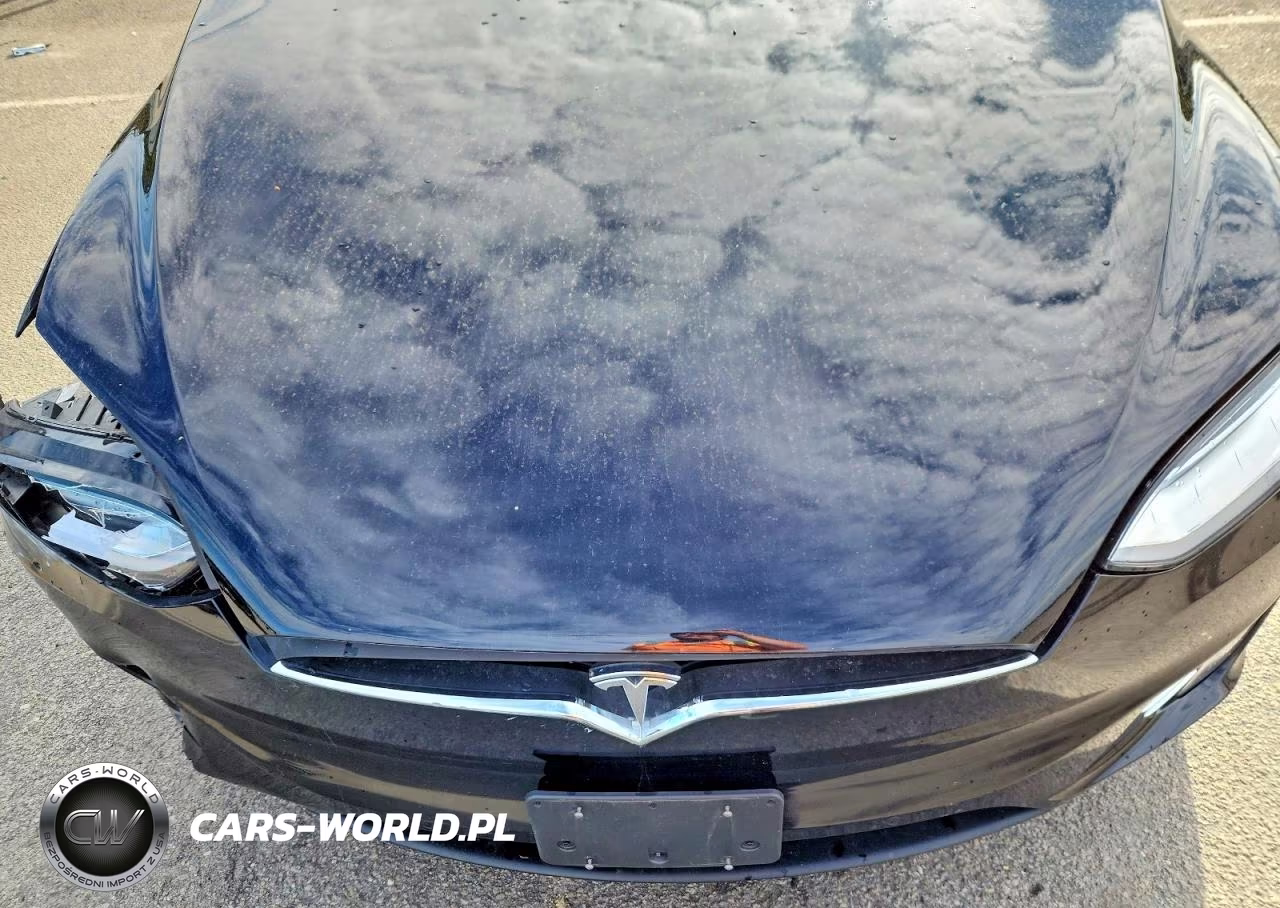 2018 Tesla Model X VIN:5YJXCDE2XJF112251 - 12