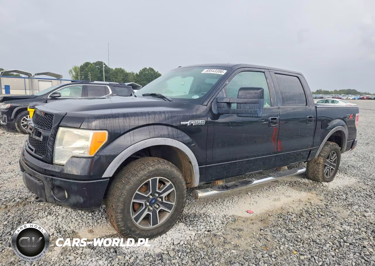 2010 Ford F150 Supercrew – zdjęcie 1 z 12