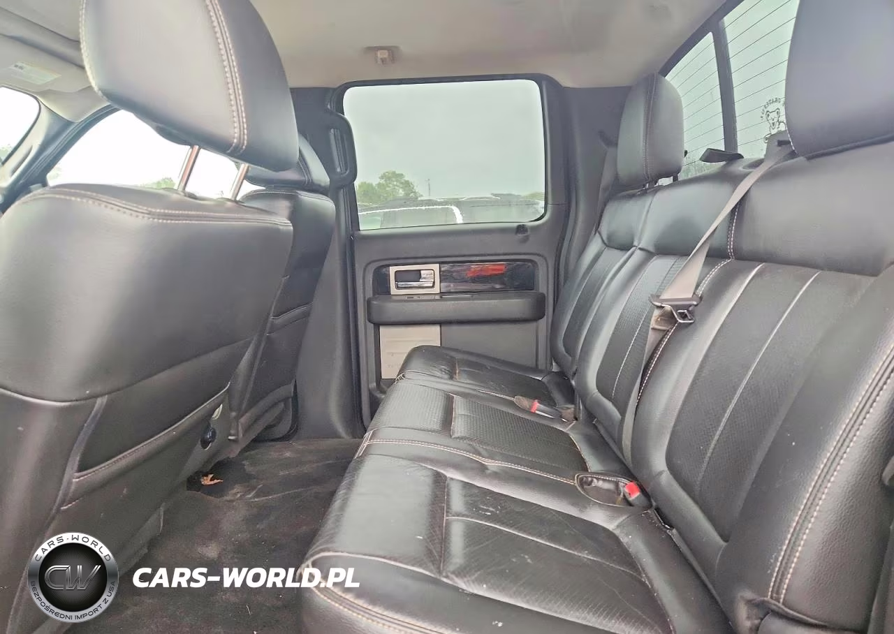 2010 Ford F150 Supercrew VIN:1FTFW1EV7AFA25818 - 10