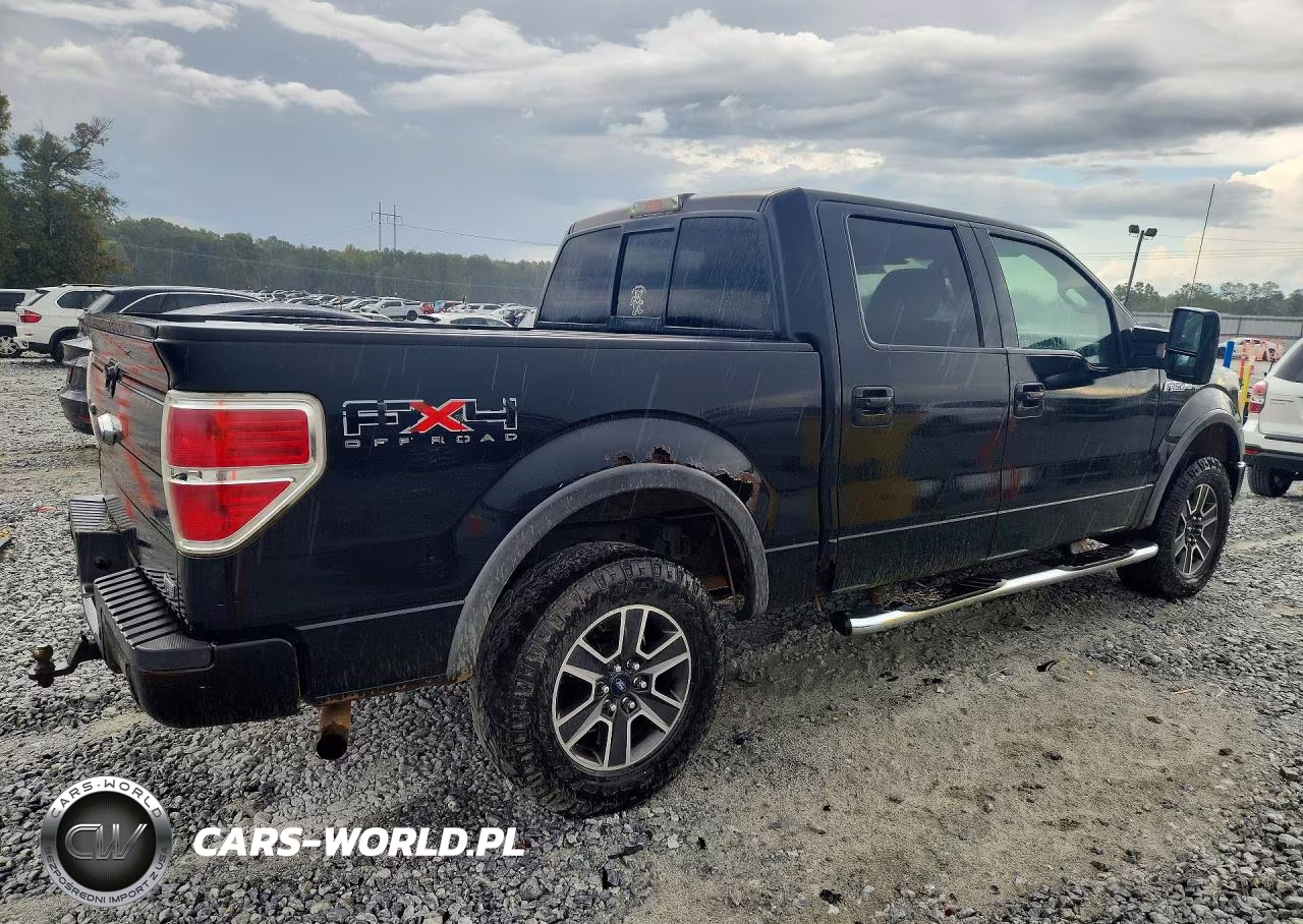 2010 Ford F150 Supercrew VIN:1FTFW1EV7AFA25818 - 3
