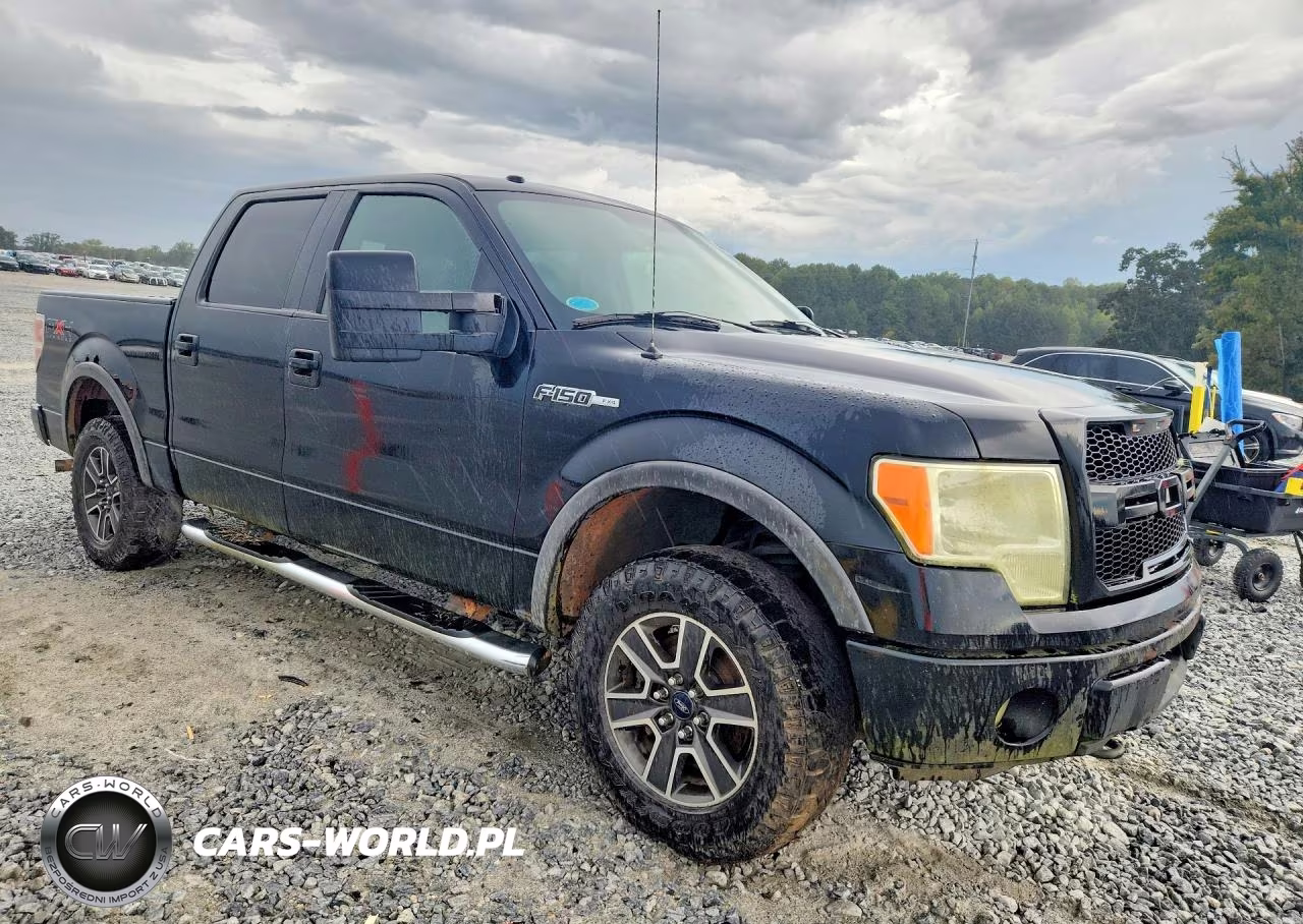 2010 Ford F150 Supercrew VIN:1FTFW1EV7AFA25818 - 4