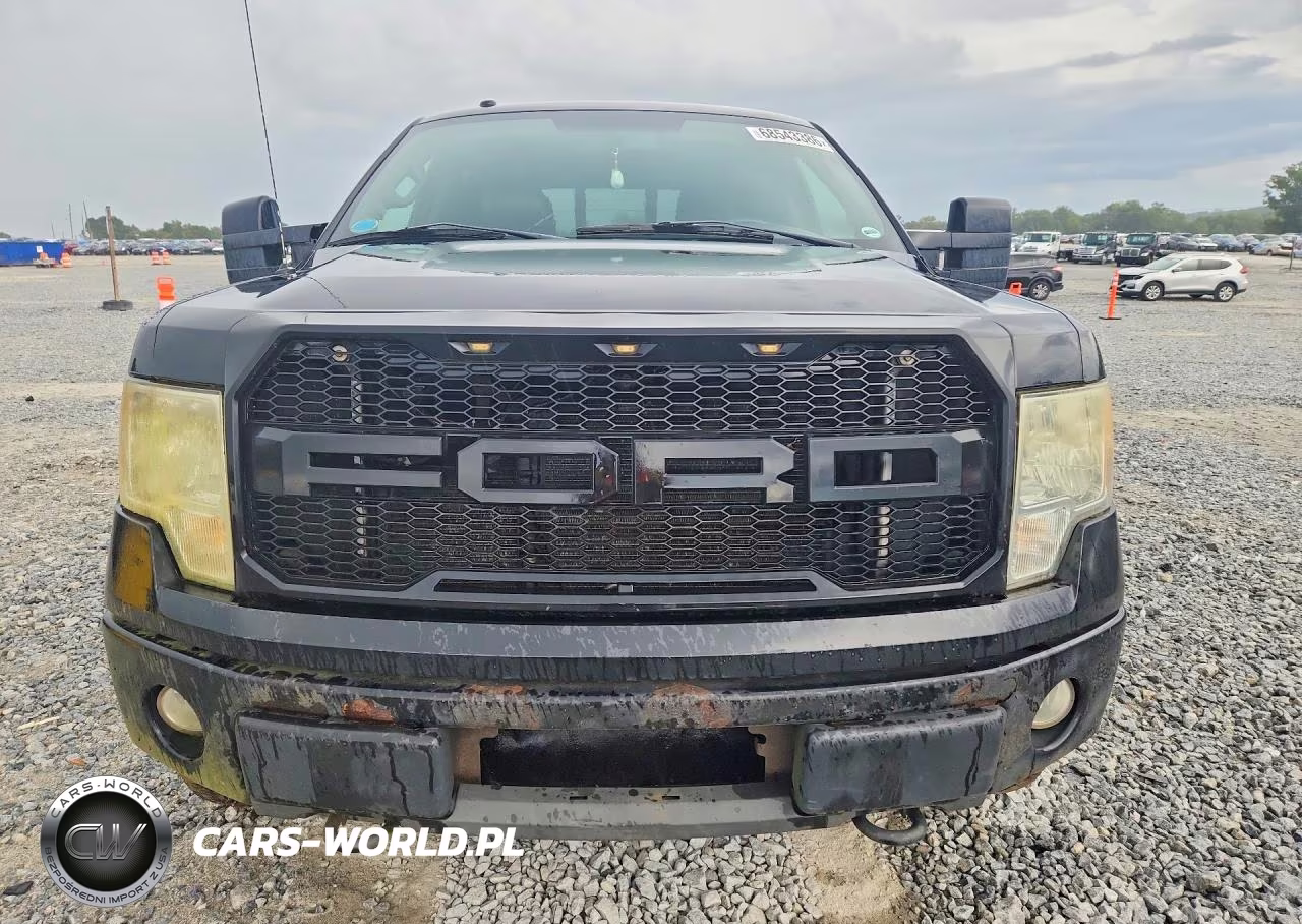 2010 Ford F150 Supercrew VIN:1FTFW1EV7AFA25818 - 5