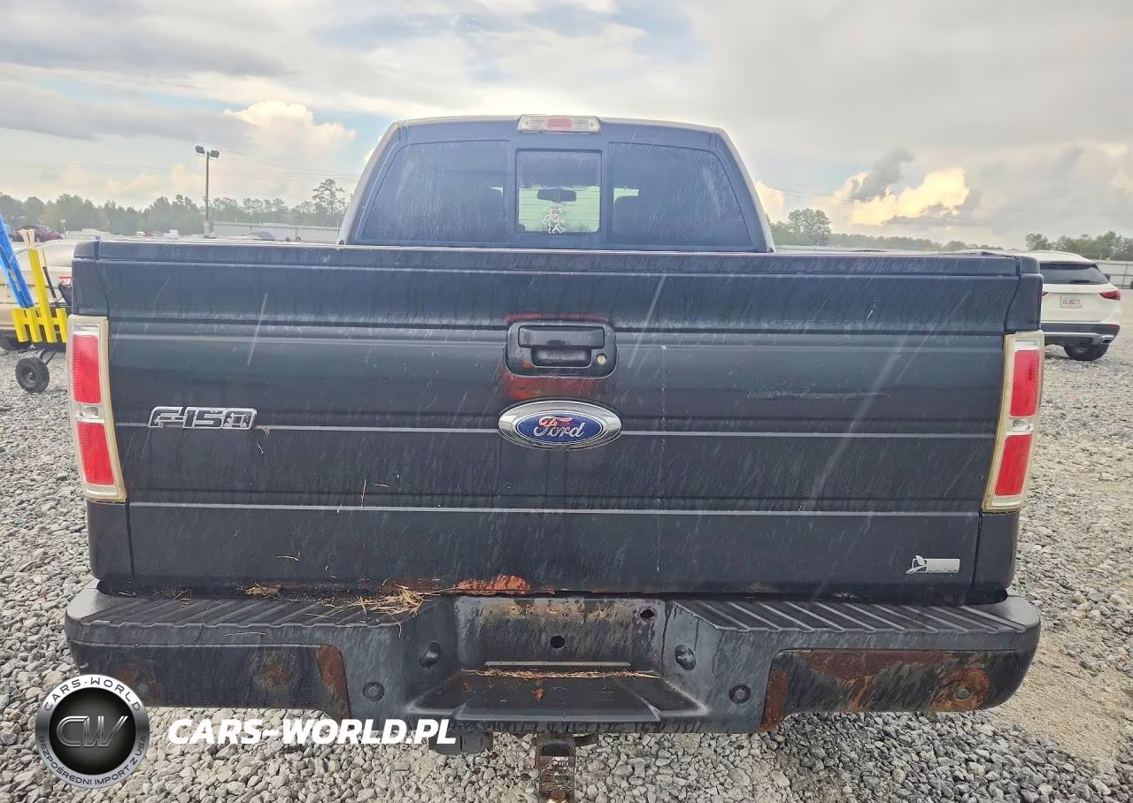 2010 Ford F150 Supercrew VIN:1FTFW1EV7AFA25818 - 6
