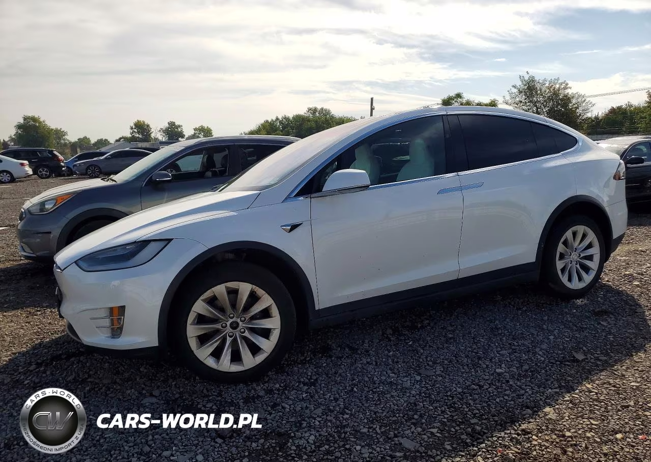 2021 Tesla Model X