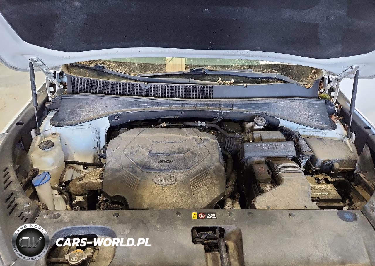 2019 Kia Sorento Lx V6 VIN:5XYPGDA54KG569989 - 12