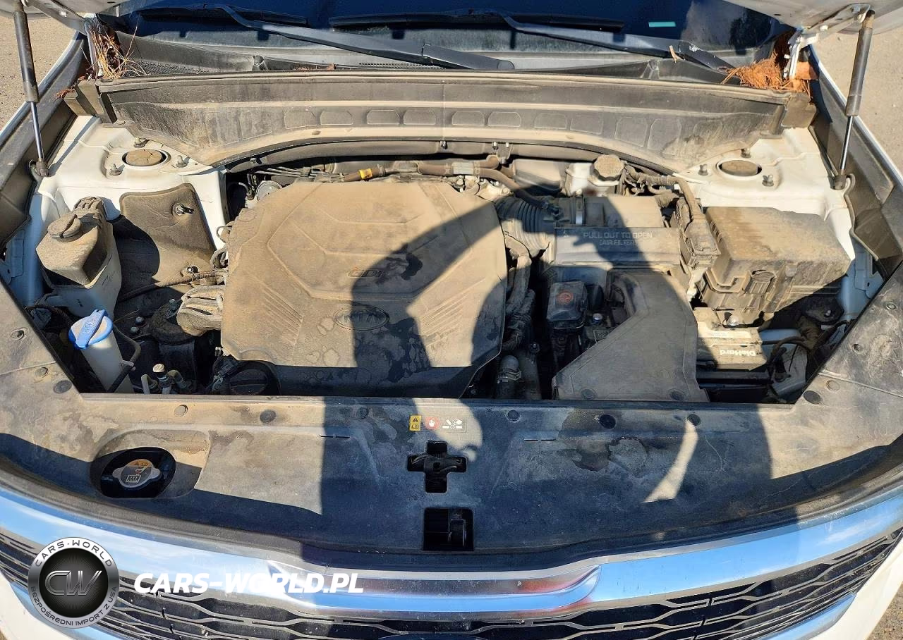 2020 Kia Telluride S VIN:5XYP64HC3LG026397 - 12