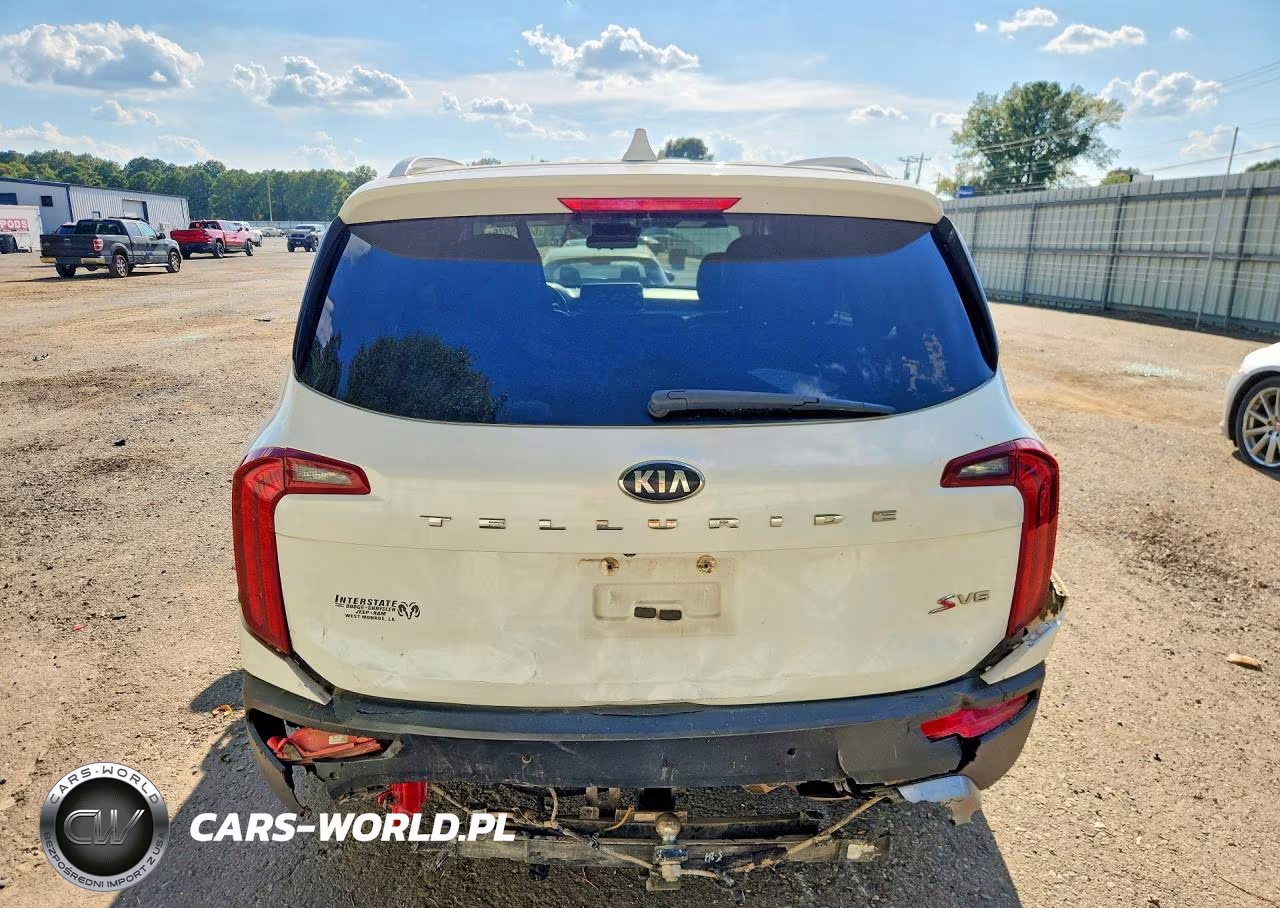2020 Kia Telluride S VIN:5XYP64HC3LG026397 - 6