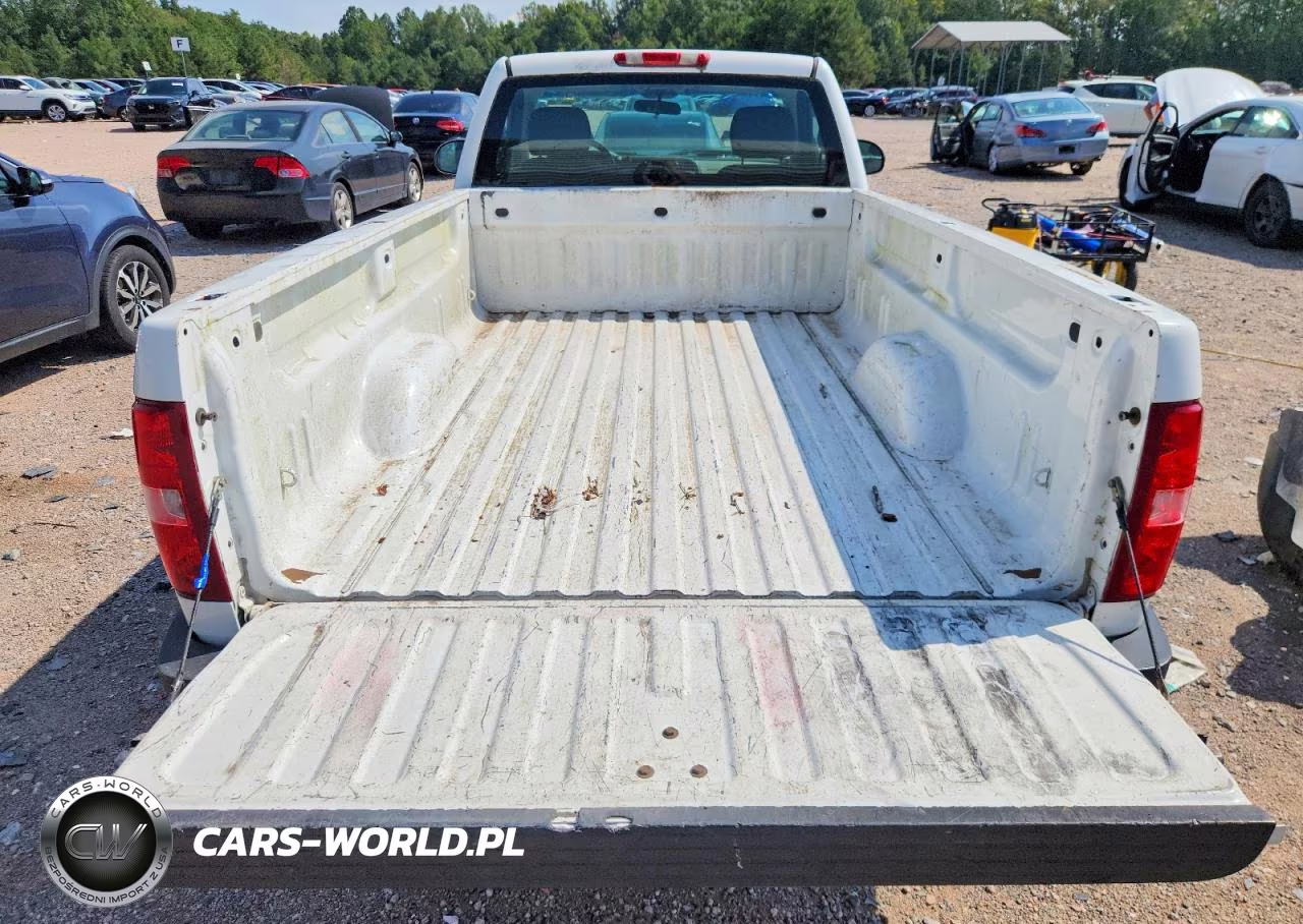 2010 Chevrolet Silverado 1500 VIN:1GCPCPEX8AZ280705 - 10