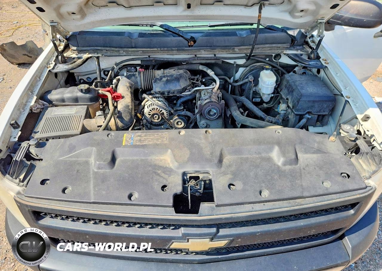 2010 Chevrolet Silverado 1500 VIN:1GCPCPEX8AZ280705 - 11