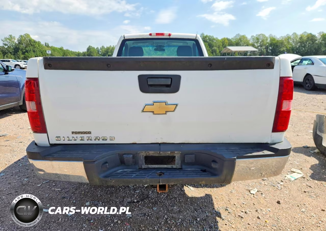 2010 Chevrolet Silverado 1500 VIN:1GCPCPEX8AZ280705 - 6