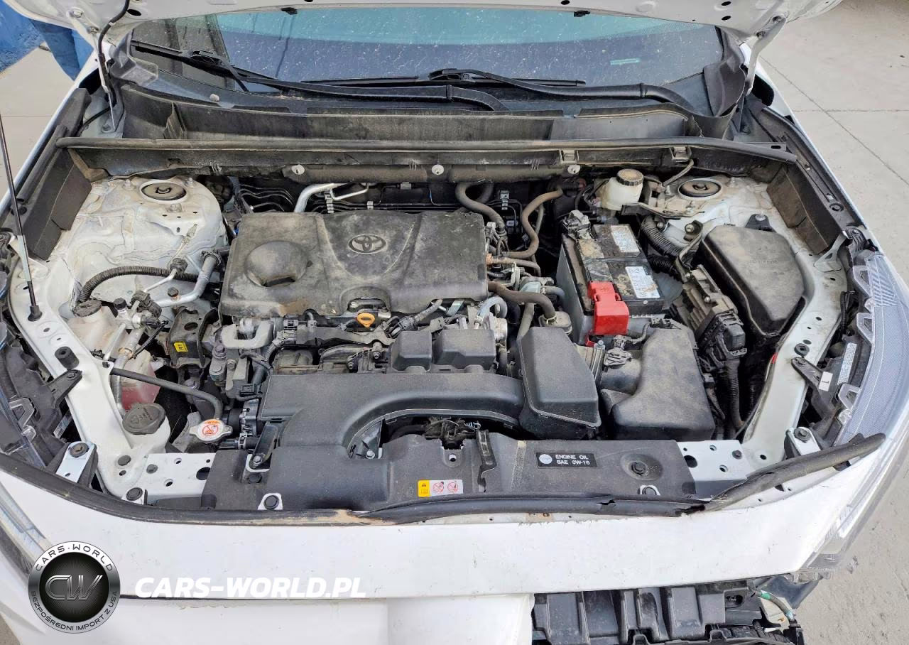 2023 Toyota Rav4 Le VIN:2T3F1RFV3PC329670 - 11