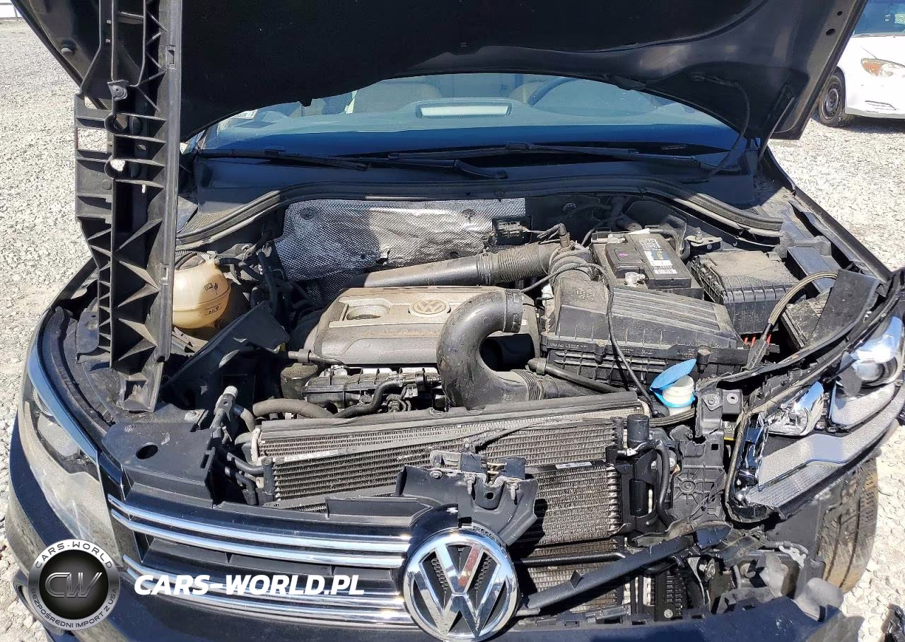 2016 Volkswagen Tiguan S VIN:WVGBV7AX1GW519477 - 12