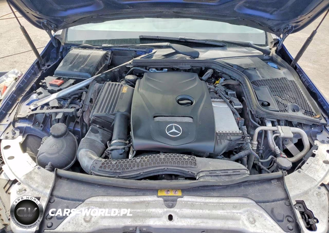 2017 Mercedes-Benz C 300 4Matic VIN:55SWF4KB6HU204800 - 11