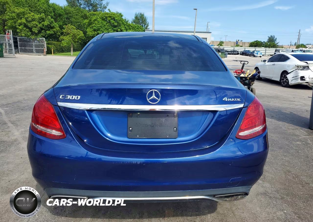 2017 Mercedes-Benz C 300 4Matic VIN:55SWF4KB6HU204800 - 6