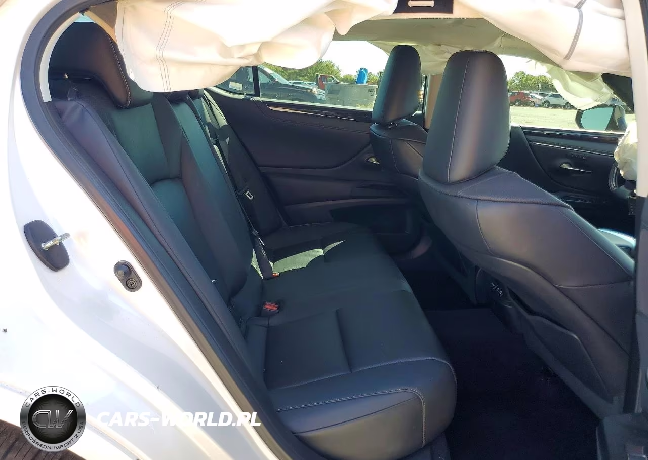 2021 Lexus Es 250 Base VIN:58AD11D1XMU002493 - 10
