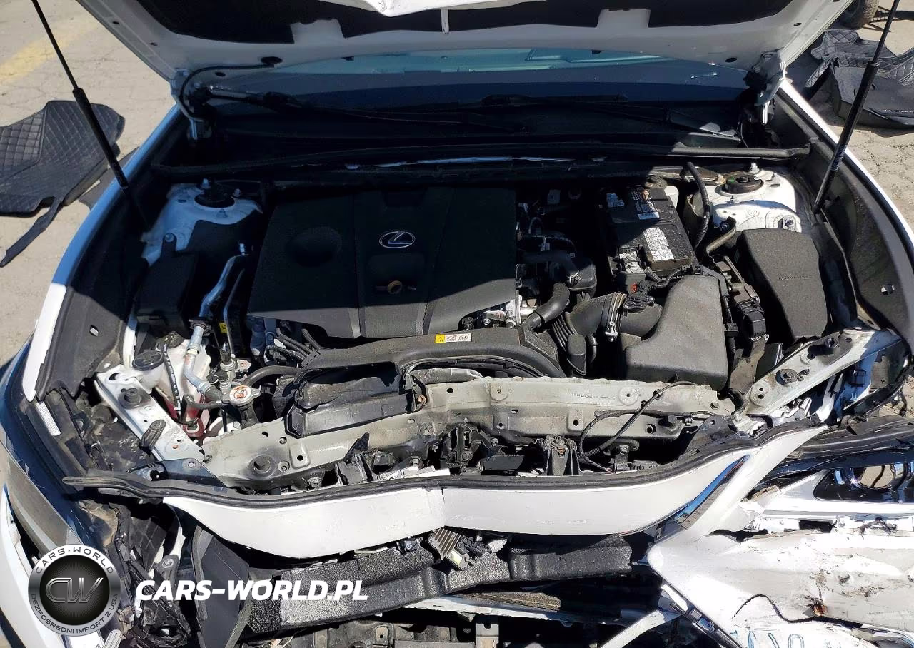 2021 Lexus Es 250 Base VIN:58AD11D1XMU002493 - 11