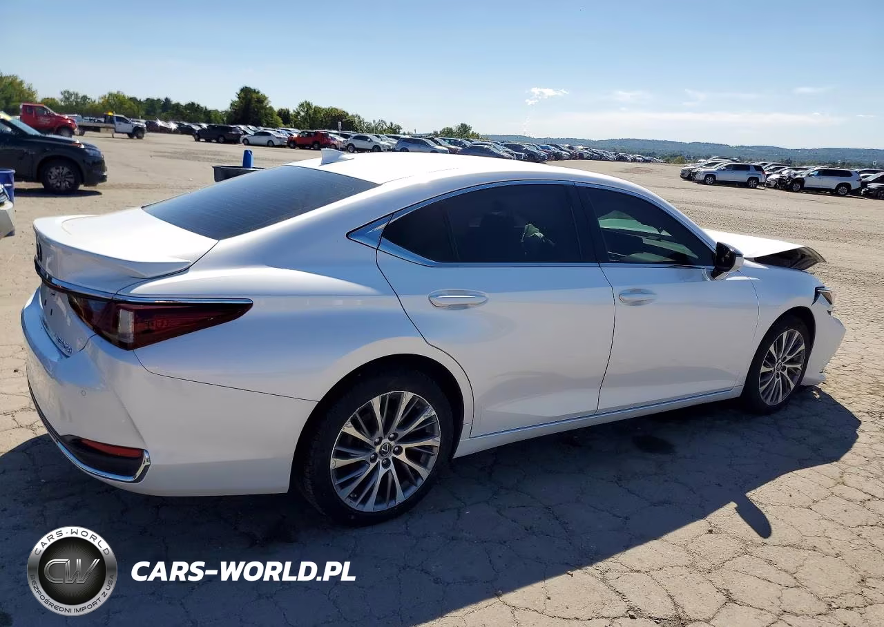 2021 Lexus Es 250 Base VIN:58AD11D1XMU002493 - 3