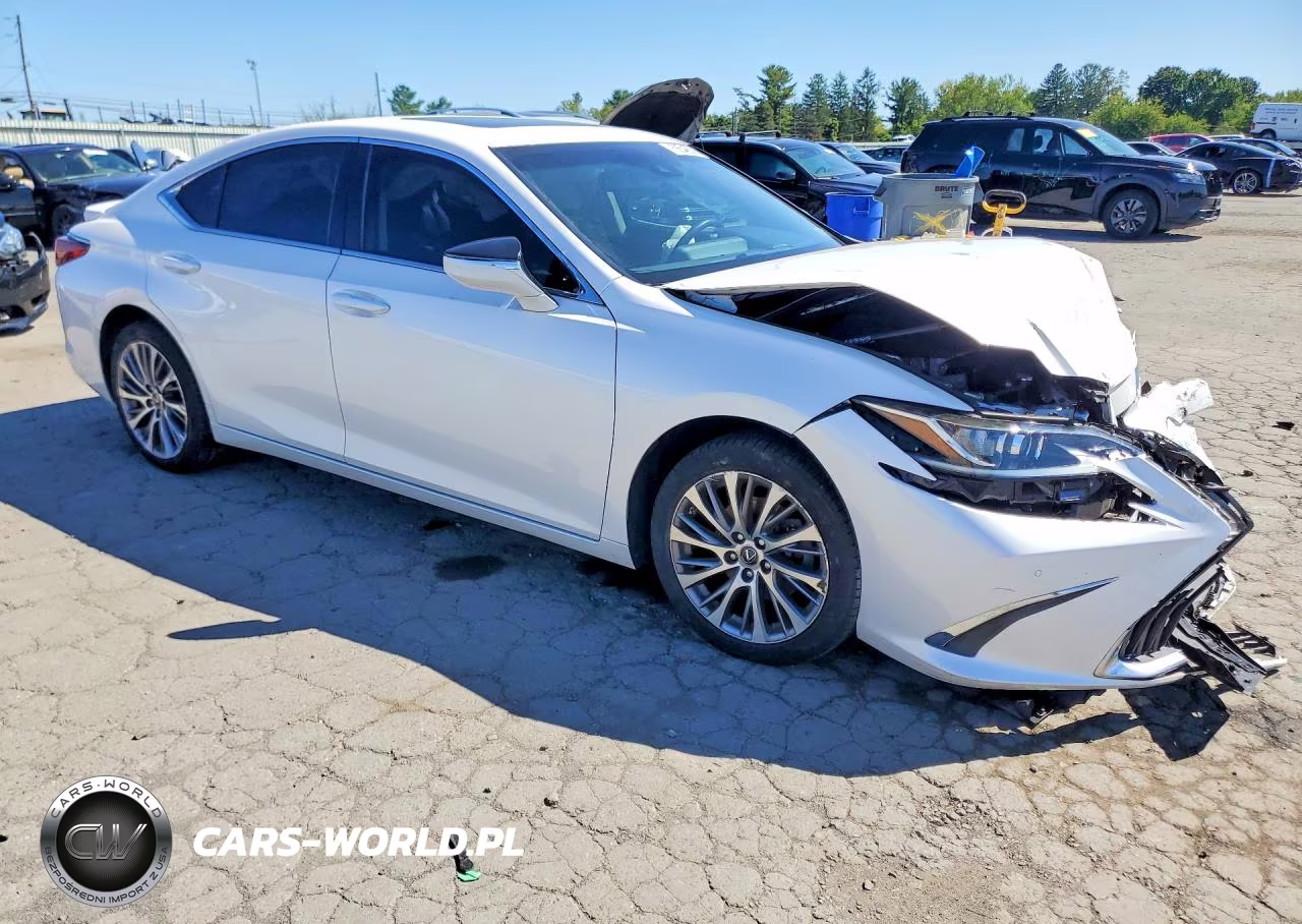 2021 Lexus Es 250 Base VIN:58AD11D1XMU002493 - 4