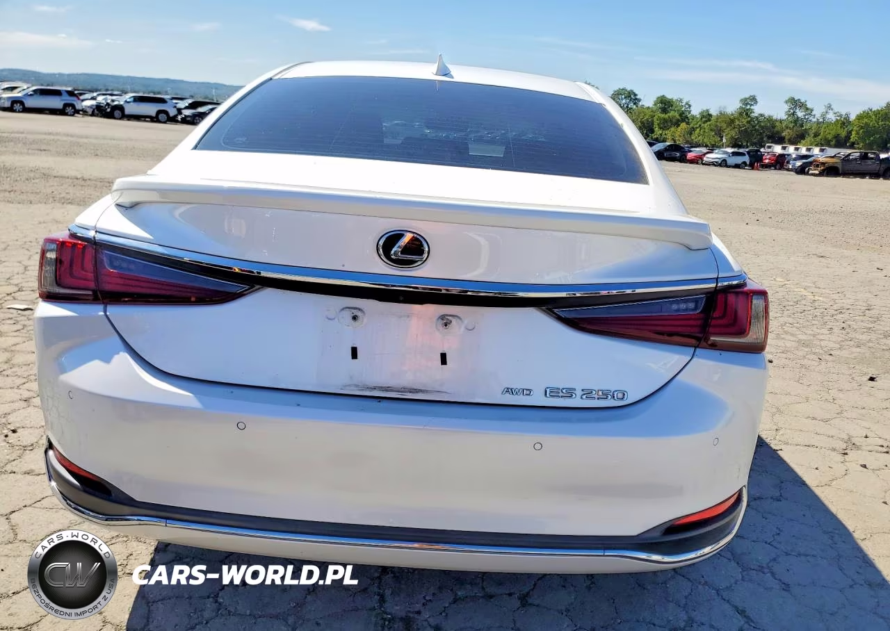 2021 Lexus Es 250 Base VIN:58AD11D1XMU002493 - 6