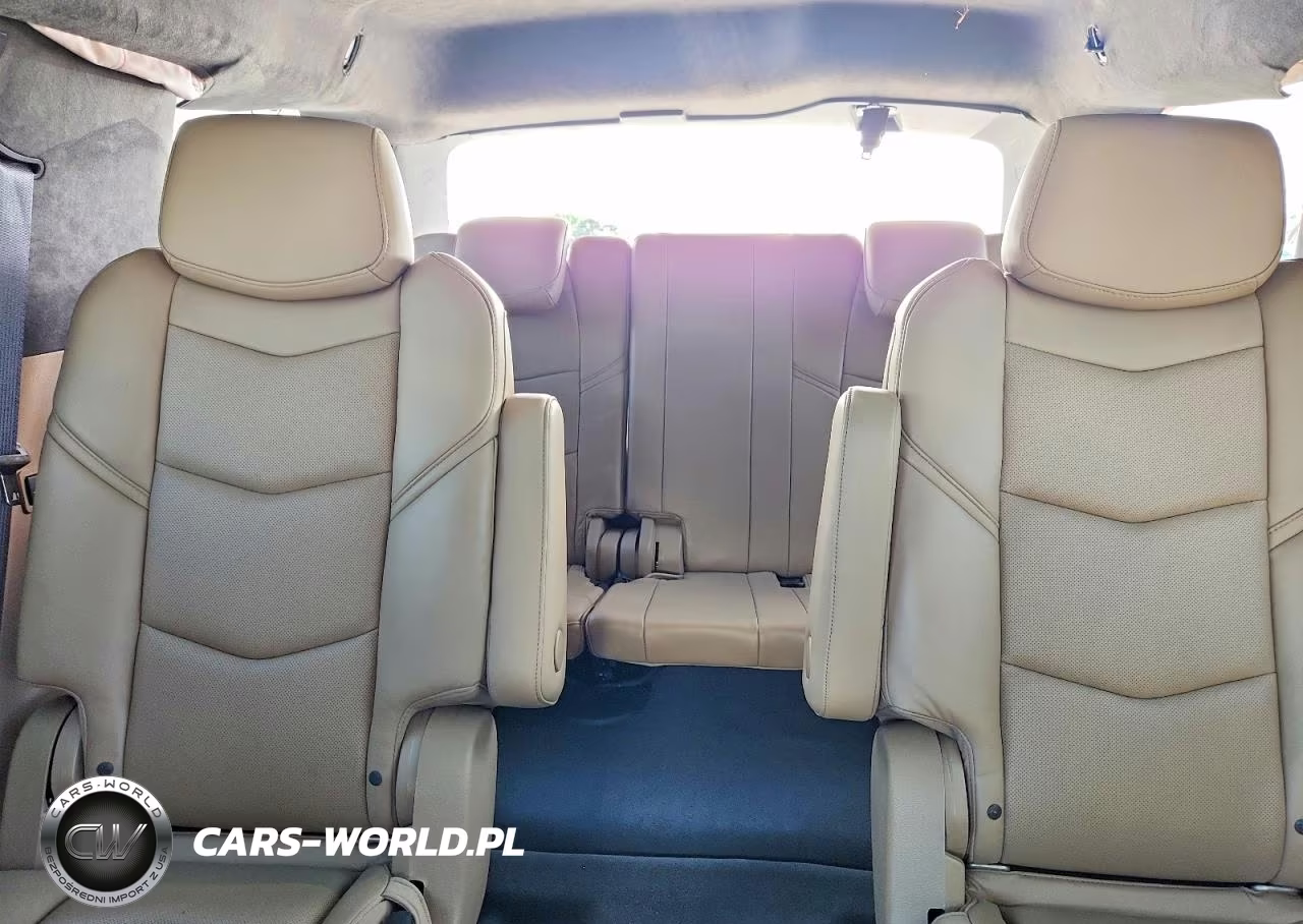 2020 Cadillac Escalade Platinum VIN:1GYS4DKJ9LR104104 - 10