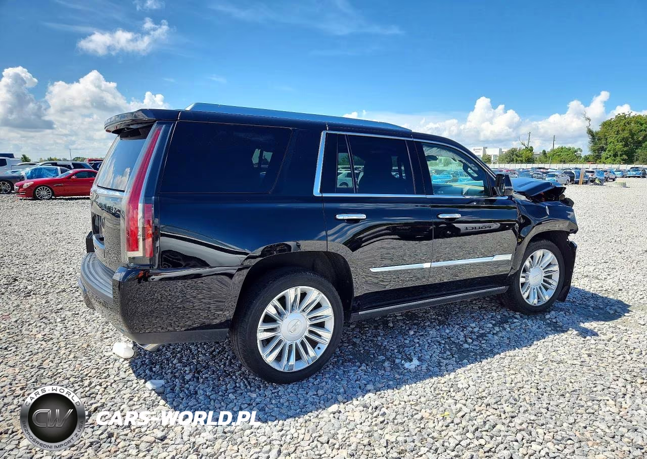2020 Cadillac Escalade Platinum VIN:1GYS4DKJ9LR104104 - 3