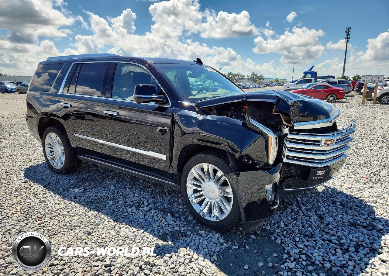 2020 Cadillac Escalade Platinum VIN:1GYS4DKJ9LR104104 - 4
