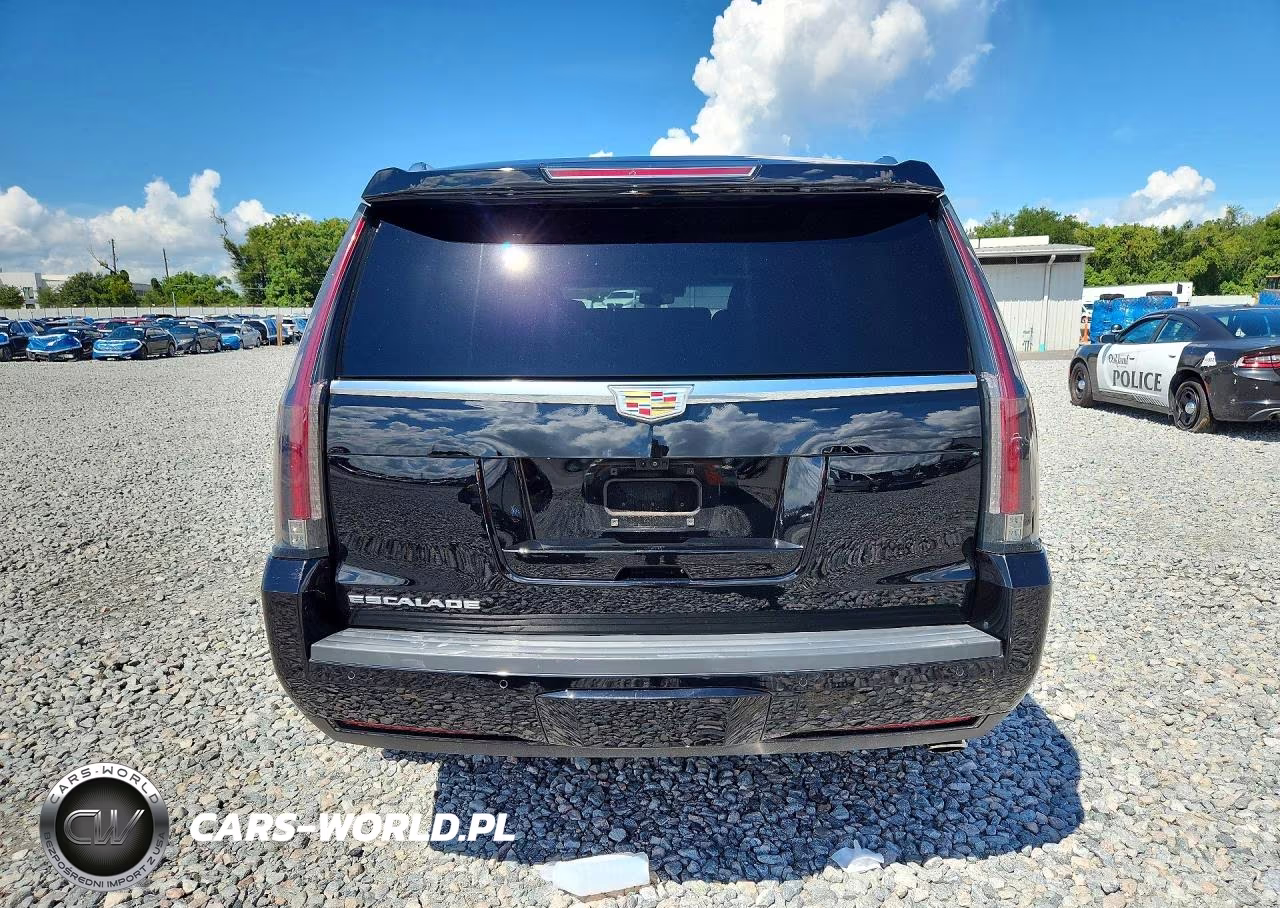 2020 Cadillac Escalade Platinum VIN:1GYS4DKJ9LR104104 - 6