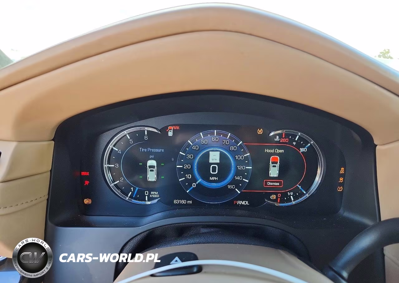 2020 Cadillac Escalade Platinum VIN:1GYS4DKJ9LR104104 - 9