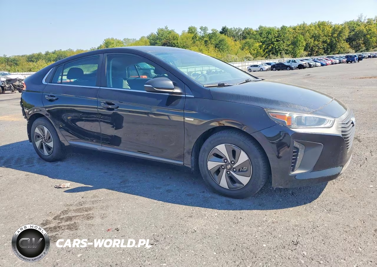 2017 Hyundai Ioniq Sel VIN:KMHC75LC0HU053468 - 4