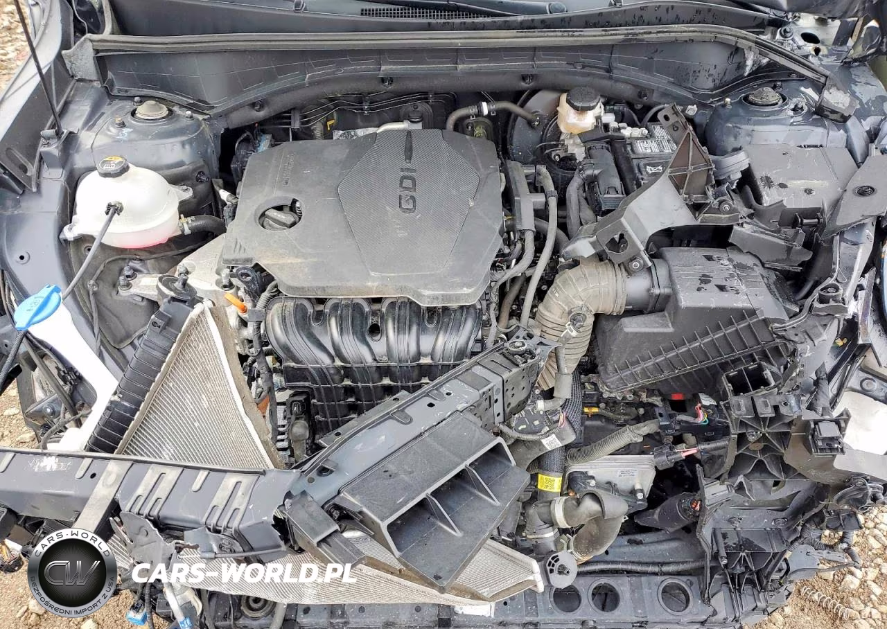 2024 Kia Sorento S VIN:5XYRLDJCXRG285716 - 12