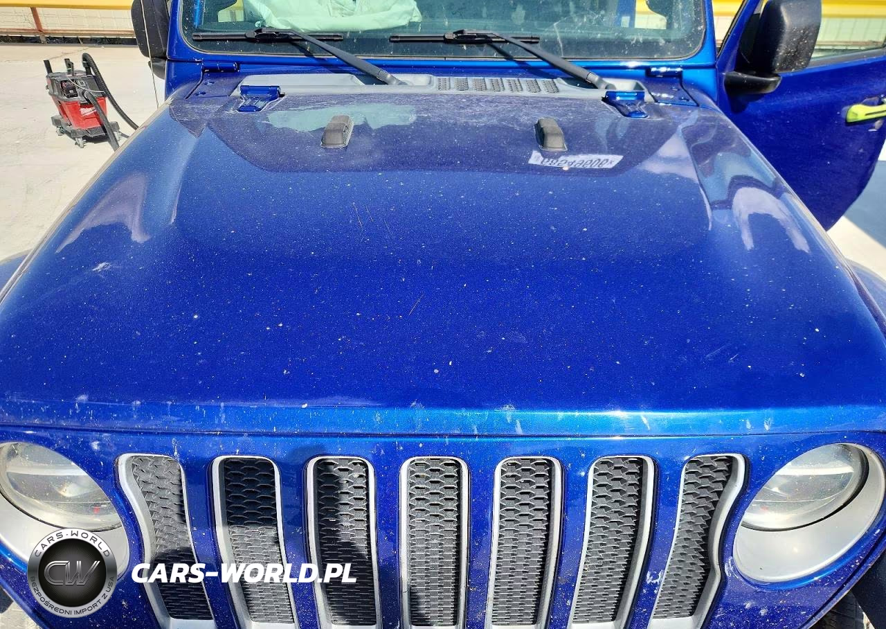 2019 Jeep Wrangler Unlimited Sahara VIN:1C4HJXEN3KW620239 - 12