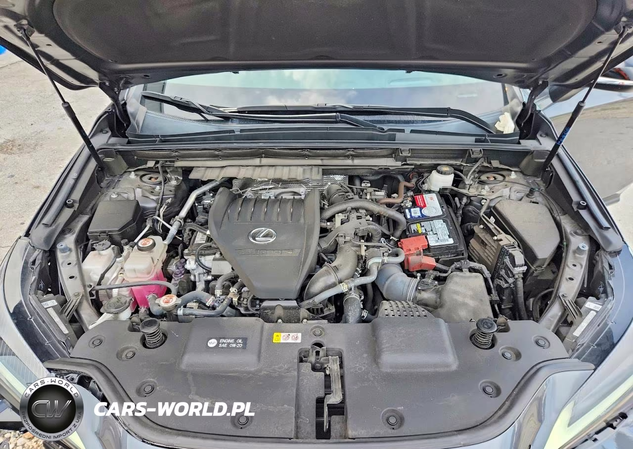 2024 Lexus Nx 350 F Sport Handling VIN:2T2KGCEZ6RC047223 - 12