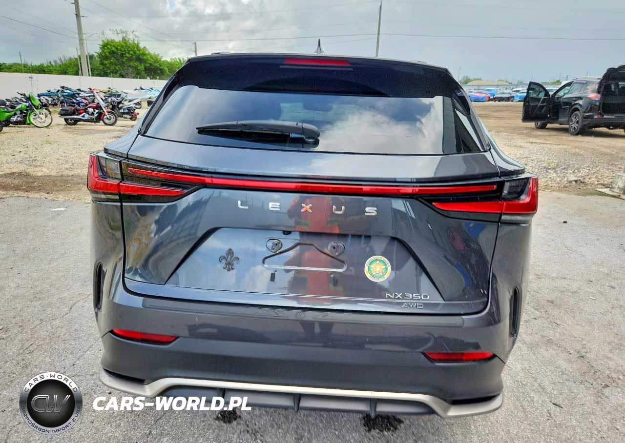 2024 Lexus Nx 350 F Sport Handling VIN:2T2KGCEZ6RC047223 - 6