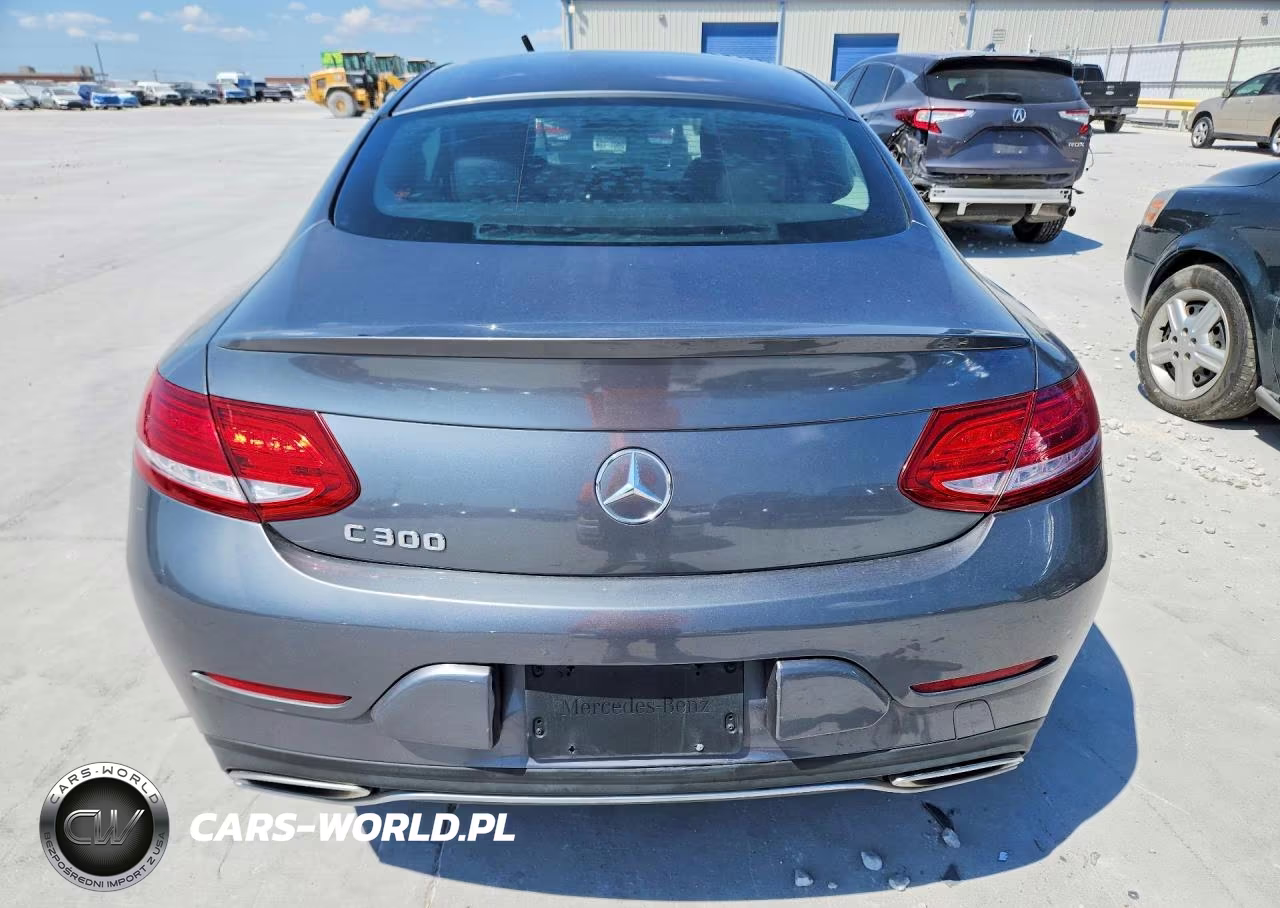 2017 Mercedes-Benz C 300 VIN:WDDWJ4JB1HF509589 - 6