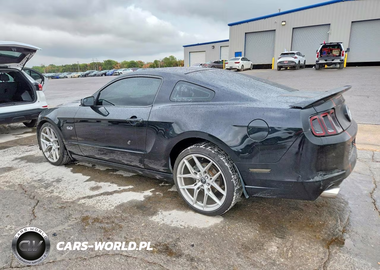 2014 Ford Mustang Gt VIN:1ZVBP8CF0E5273403 - 2