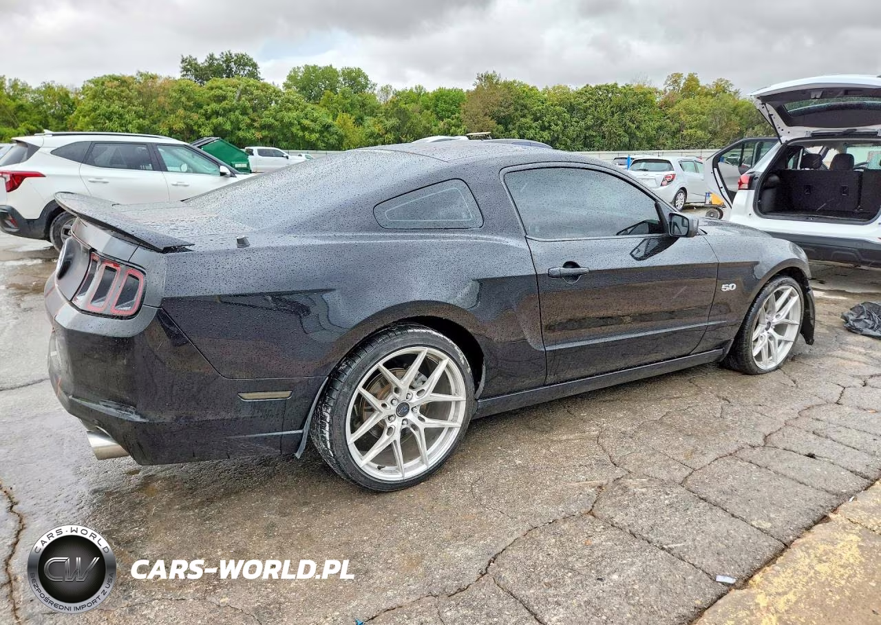 2014 Ford Mustang Gt VIN:1ZVBP8CF0E5273403 - 3