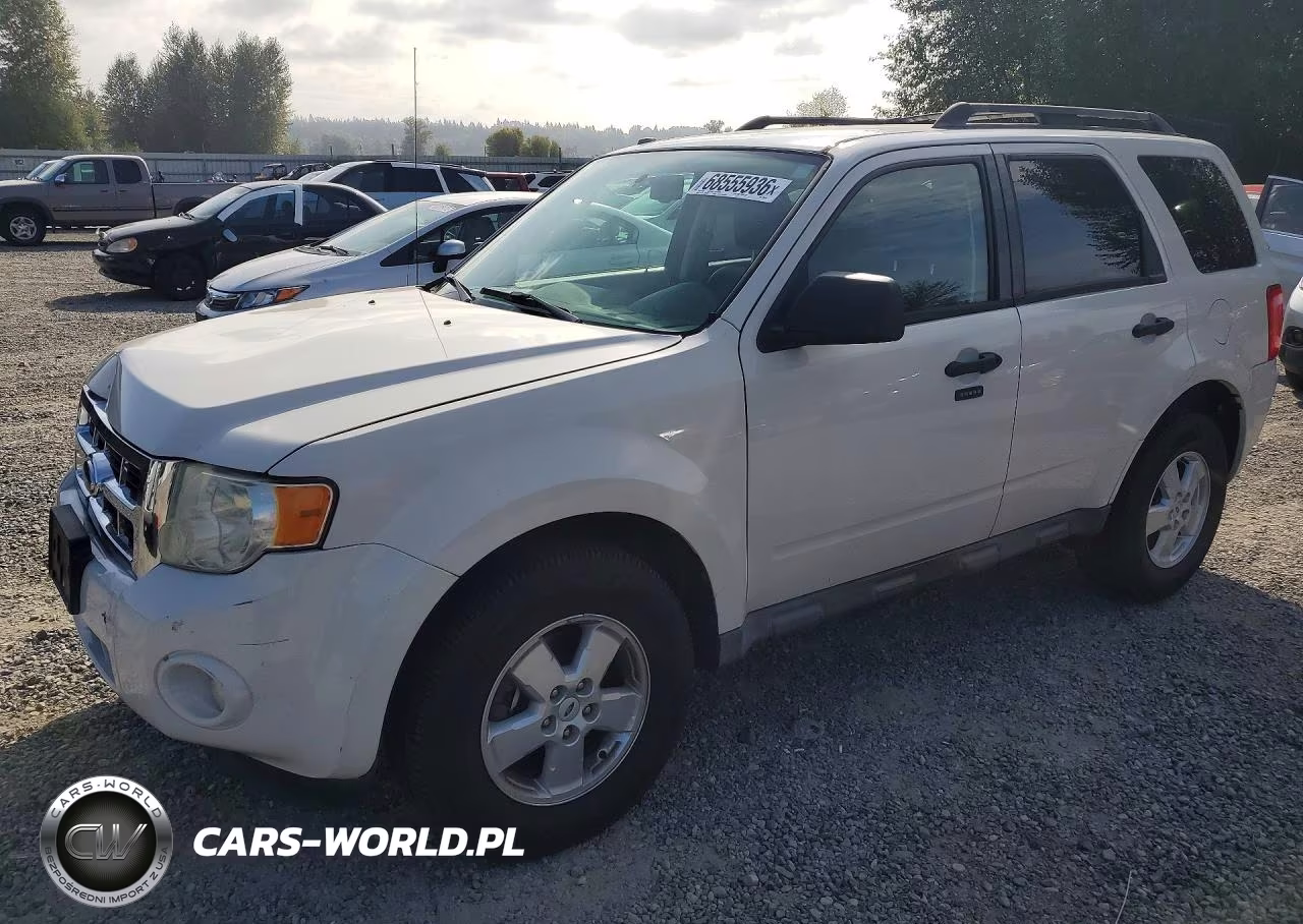 2009 Ford Escape Xlt