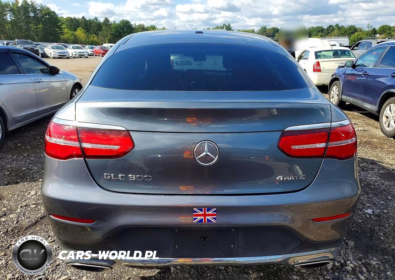2017 Mercedes-Benz Glc Coupe 300 4Matic VIN:WDC0J4KB3HF150609 - 6