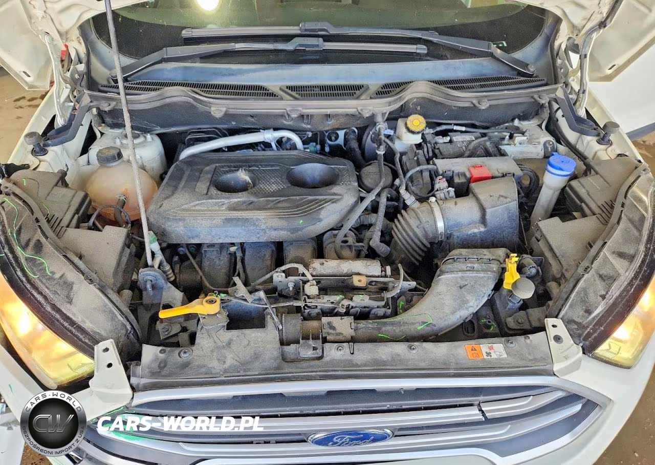 2019 Ford Ecosport Se VIN:MAJ6S3GL8KC294731 - 12