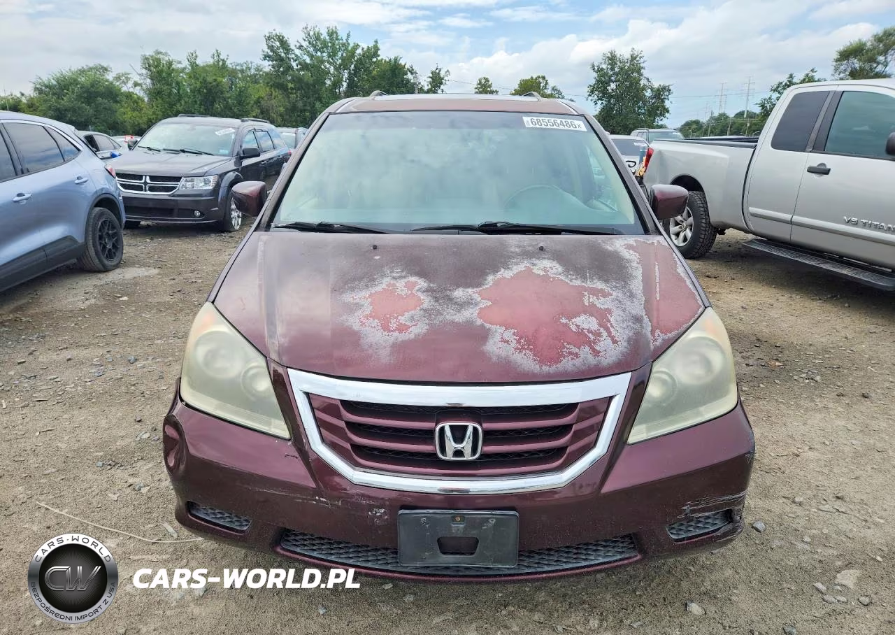 2009 Honda Odyssey Exl VIN:5FNRL38799B405094 - 5
