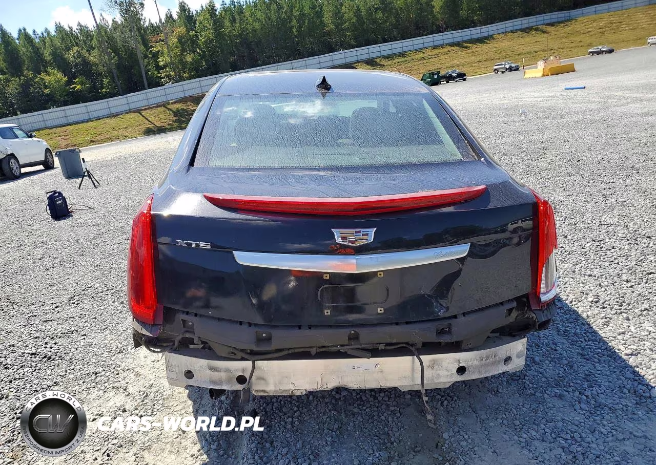2016 Cadillac Xts Luxury Collection VIN:2G61M5S37G9146430 - 6