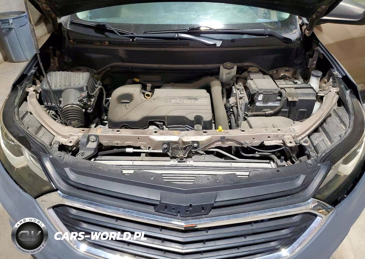 2019 Chevrolet Equinox Ls VIN:2GNAXSEV7K6277472 - 12