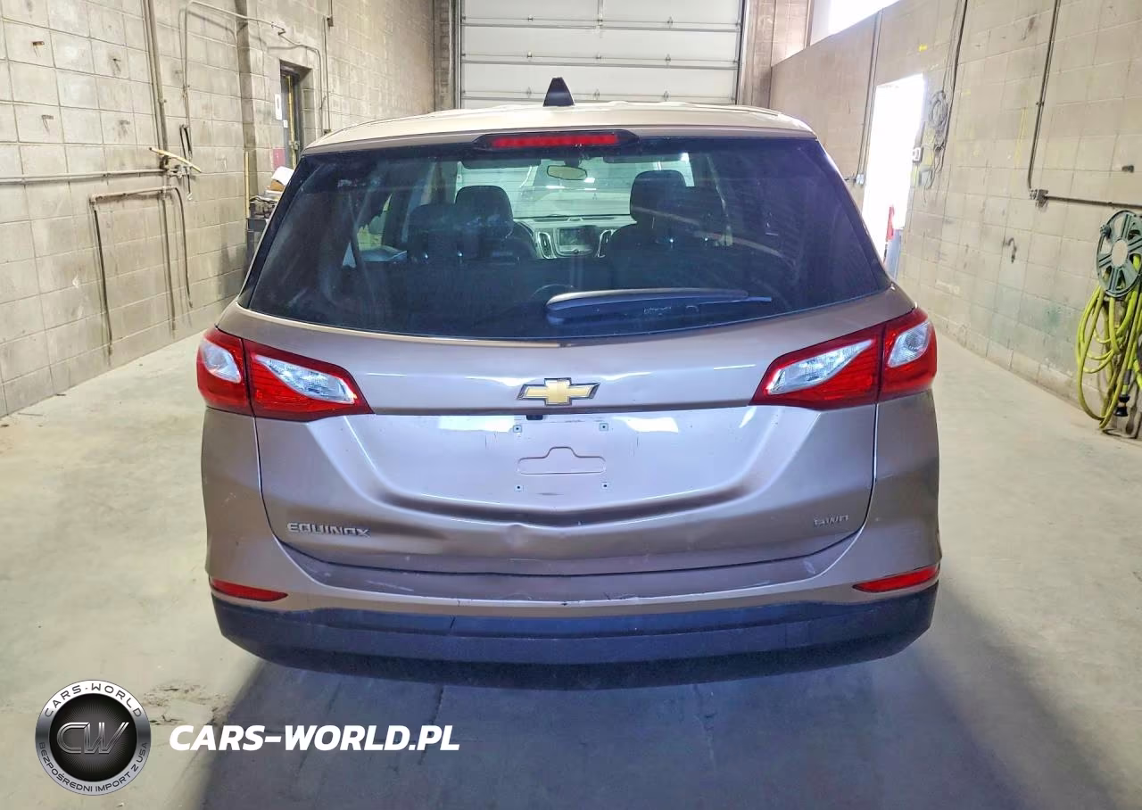 2019 Chevrolet Equinox Ls VIN:2GNAXSEV7K6277472 - 6