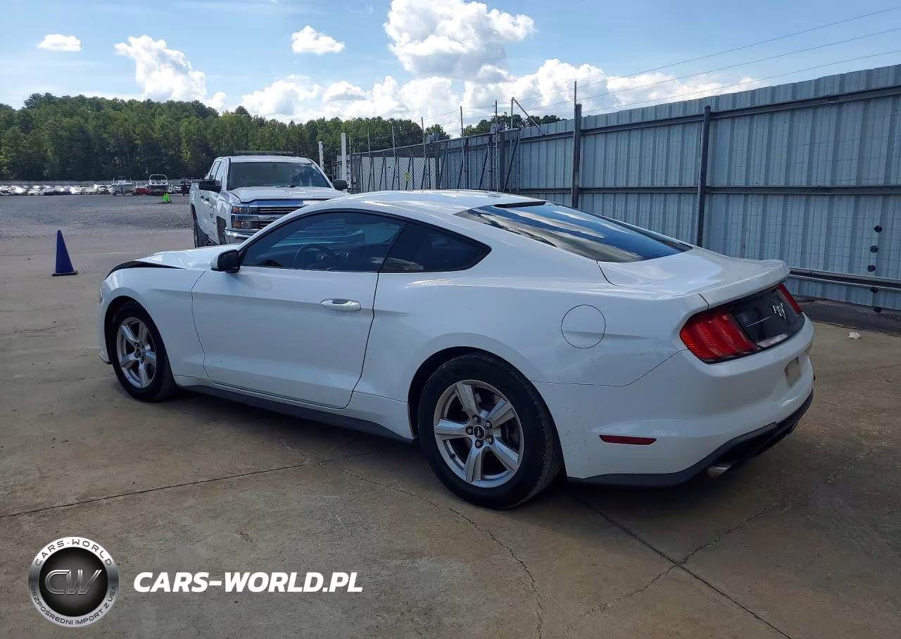 2019 Ford Mustang VIN:1FA6P8TH4K5203944 - 2